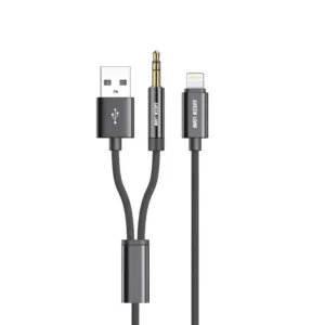 Green Lion 2 in 1 AUX Braided Cable 1.2M - Black