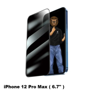Green 9H Steve Privacy Full Glass Screen Protector for iPhone 12 Pro Max ( 6.7" ) -