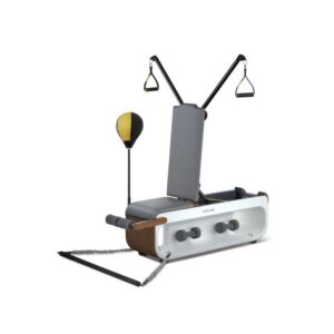 Green Lion Multifunctional Fitness Bench  - Gray