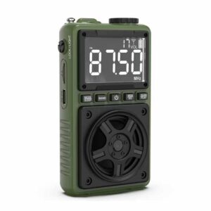 Green Lion Voyager Portable Radio with Bluetooth Speaker - Green