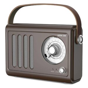 Green Lion VINTAGE Radio Speaker - Brown